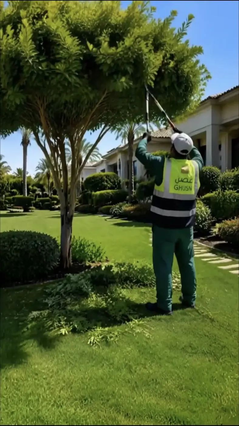 A Ghusn team member shaping a tree on site