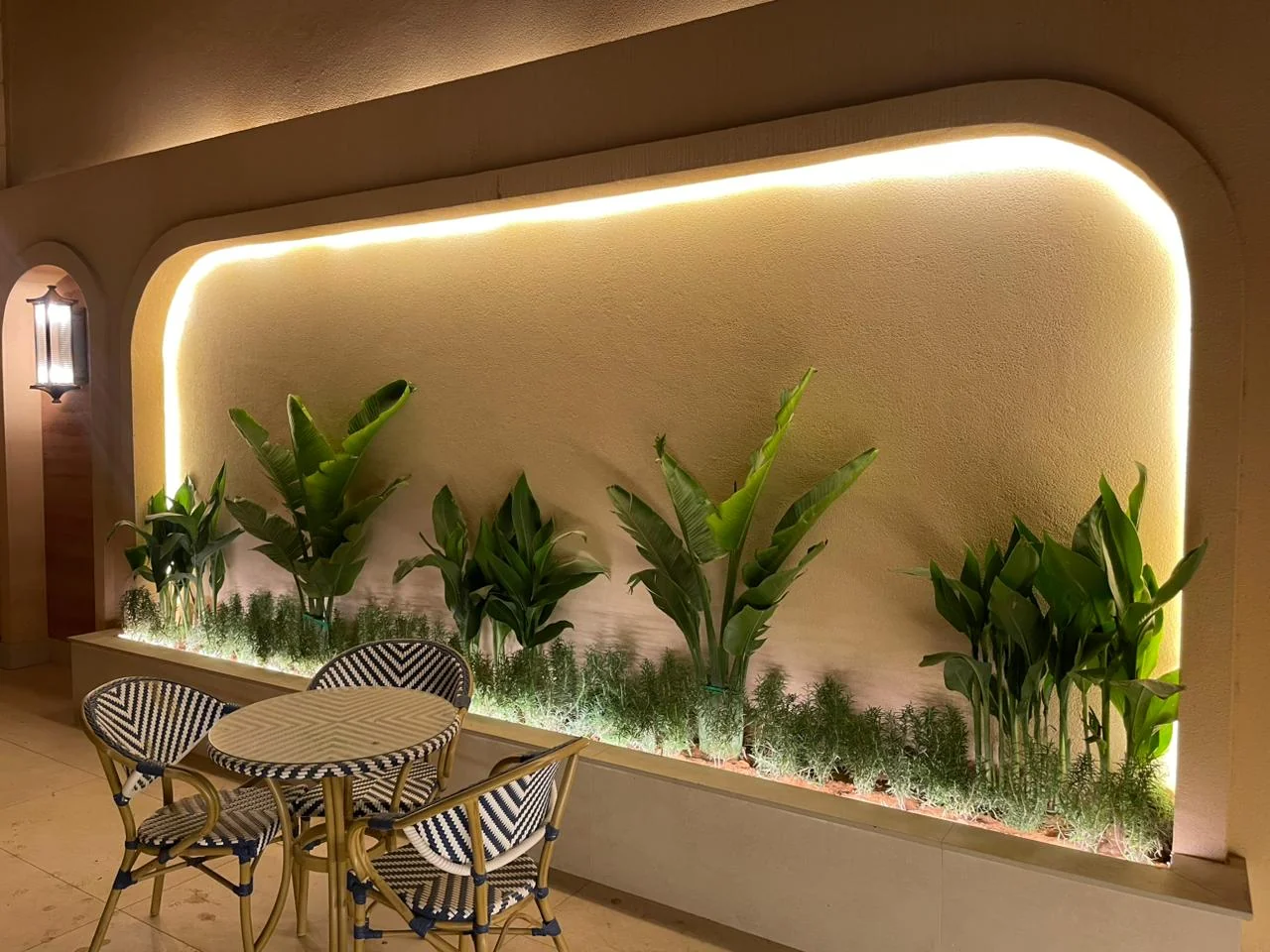 Planted wall with lighting along a garden